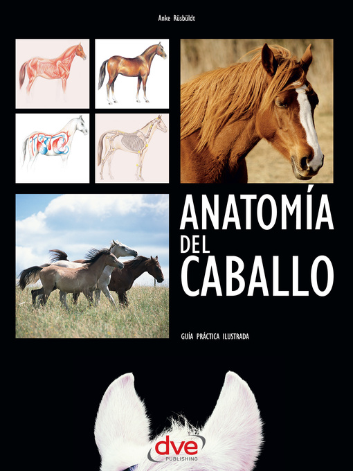 Title details for Anatomía del caballo by Anke Rüsbüldt - Wait list